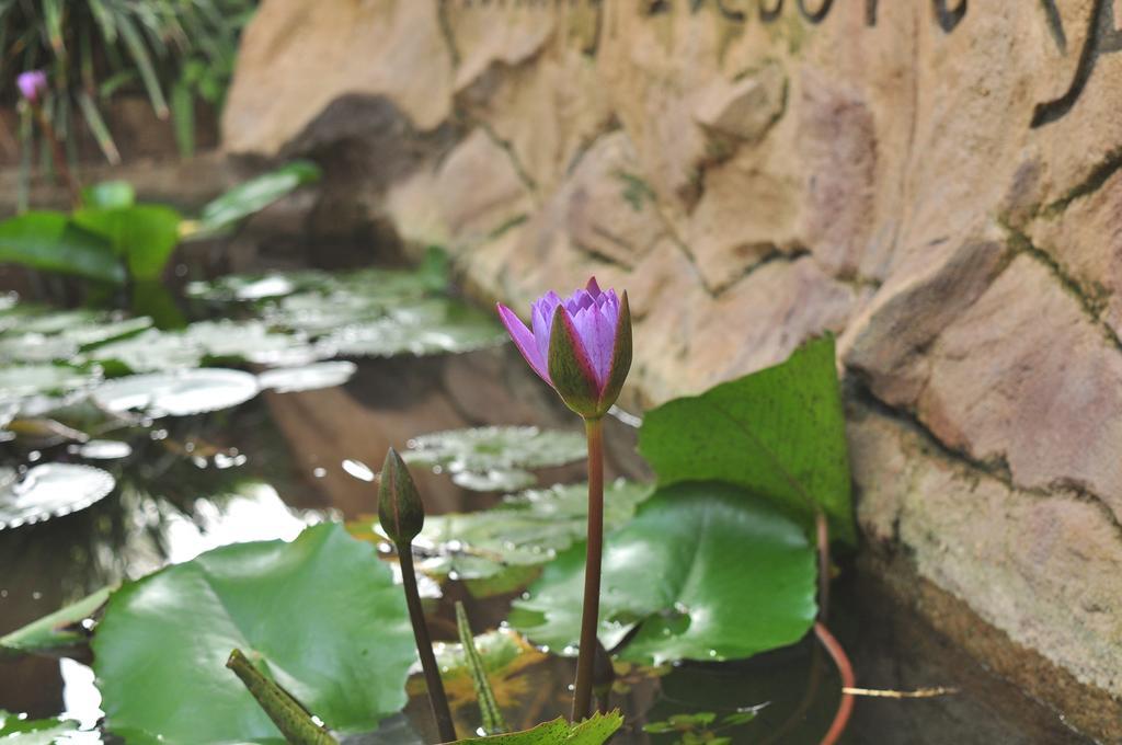 Soba Lanka Holiday Resort Melsiripura Kültér fotó