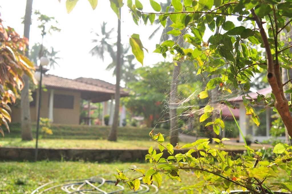 Soba Lanka Holiday Resort Melsiripura Kültér fotó