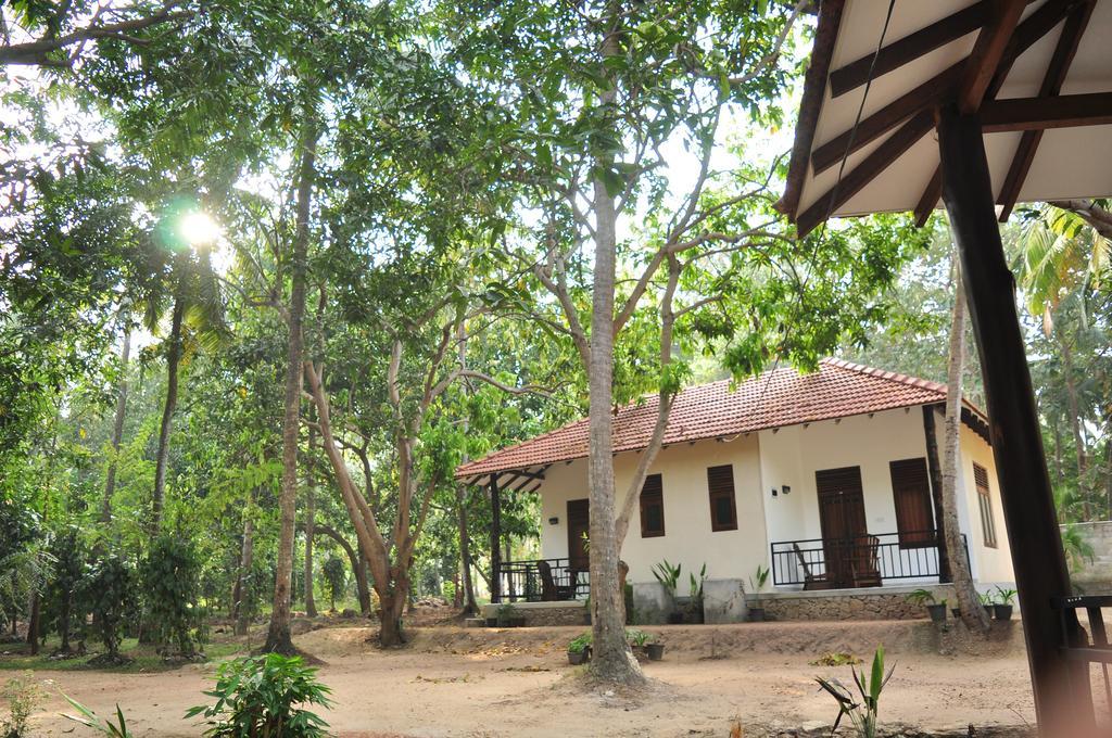 Soba Lanka Holiday Resort Melsiripura Kültér fotó
