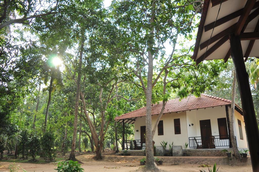Soba Lanka Holiday Resort Melsiripura Kültér fotó