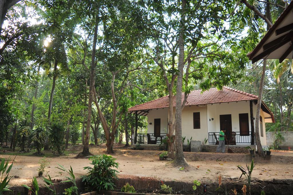 Soba Lanka Holiday Resort Melsiripura Kültér fotó
