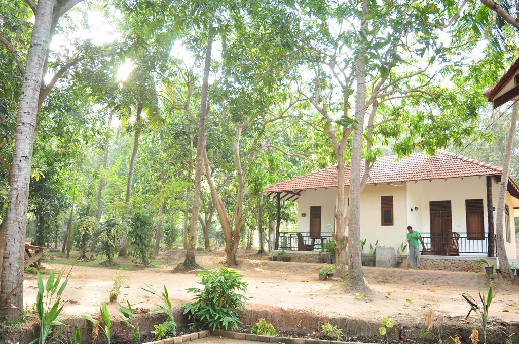 Soba Lanka Holiday Resort Melsiripura Kültér fotó