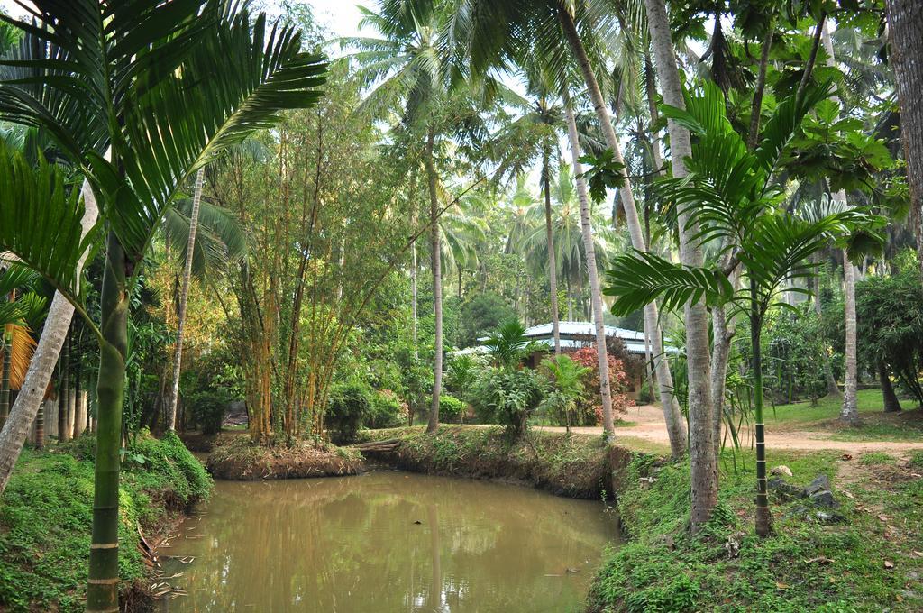 Soba Lanka Holiday Resort Melsiripura Kültér fotó