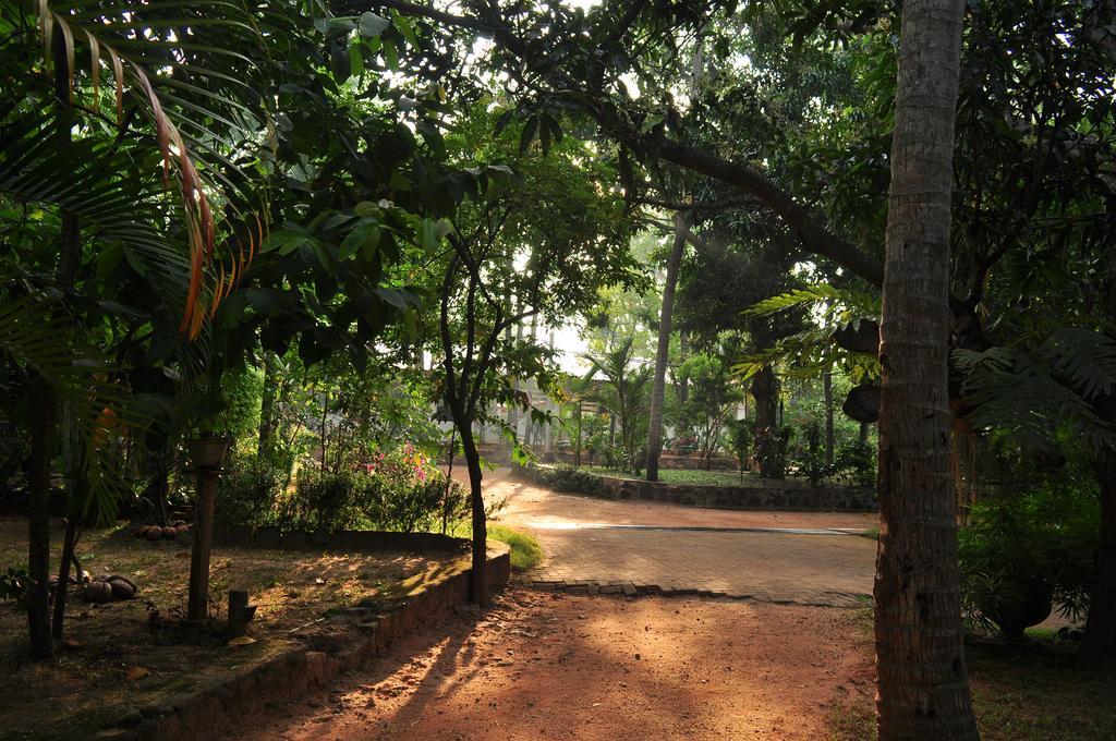 Soba Lanka Holiday Resort Melsiripura Kültér fotó