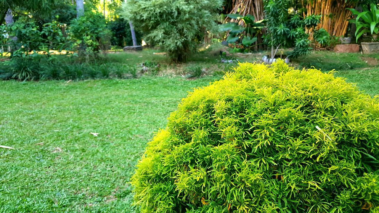 Soba Lanka Holiday Resort Melsiripura Kültér fotó