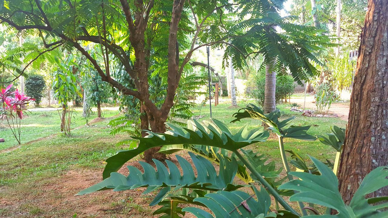 Soba Lanka Holiday Resort Melsiripura Kültér fotó
