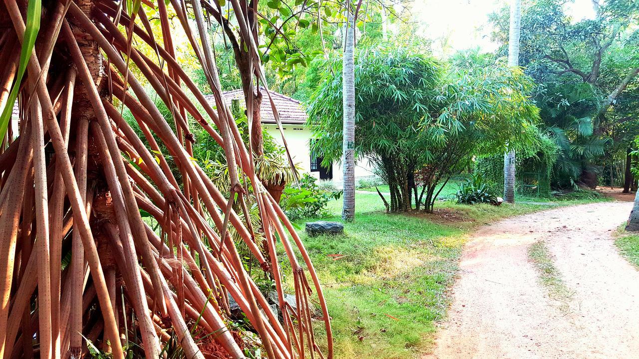 Soba Lanka Holiday Resort Melsiripura Kültér fotó