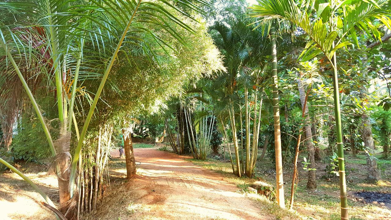 Soba Lanka Holiday Resort Melsiripura Kültér fotó