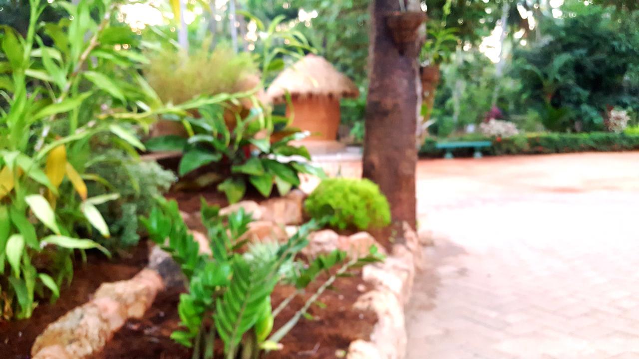 Soba Lanka Holiday Resort Melsiripura Kültér fotó