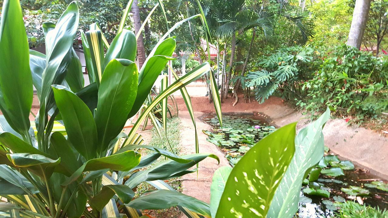 Soba Lanka Holiday Resort Melsiripura Kültér fotó