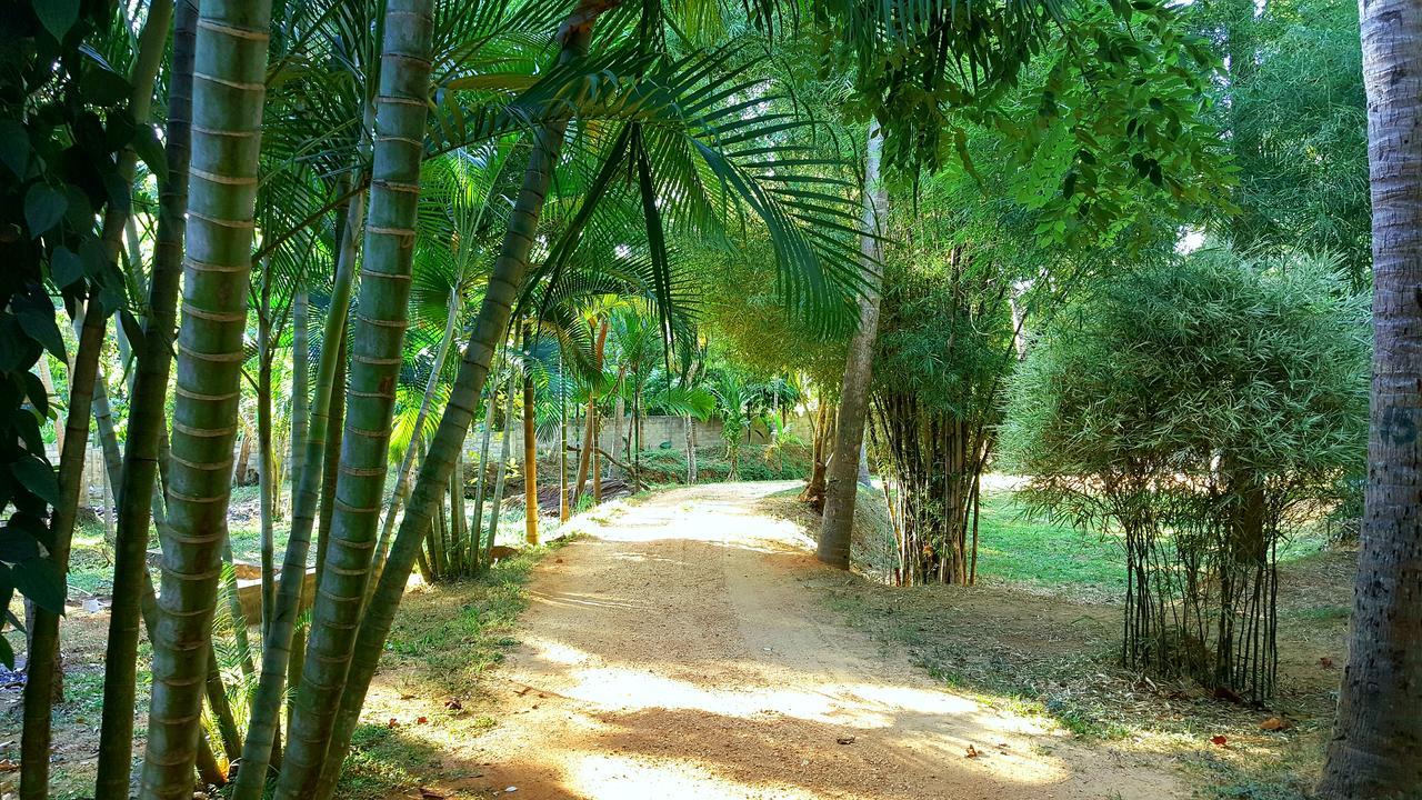Soba Lanka Holiday Resort Melsiripura Kültér fotó