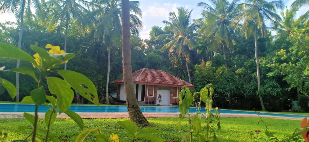 Soba Lanka Holiday Resort Melsiripura Kültér fotó